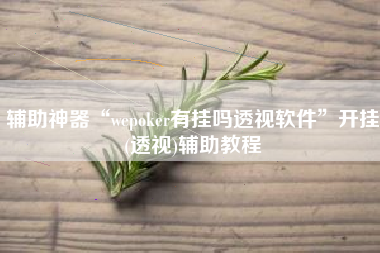 辅助神器“wepoker有挂吗透视软件”开挂(透视)辅助教程