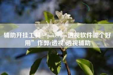 辅助开挂工具“pokernow透视软件哪个好用	”作弊(透视)透视辅助