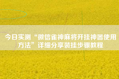 今日实测“微信雀神麻将开挂神器使用方法”详细分享装挂步骤教程