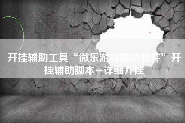 开挂辅助工具“微乐游戏辅助软件”开挂辅助脚本+详细开挂