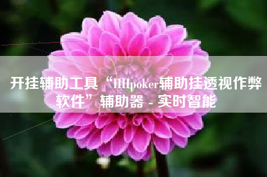 开挂辅助工具“HHpoker辅助挂透视作弊软件”辅助器 - 实时智能
