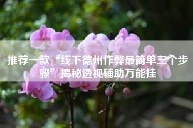 推荐一款“线下德州作弊最简单三个步骤	”揭秘透视辅助万能挂