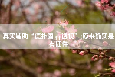 真实辅助“德扑圈app透视	”(原来确实是有插件