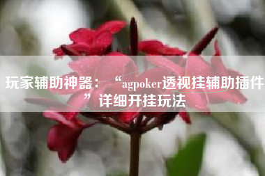 玩家辅助神器：“agpoker透视挂辅助插件	”详细开挂玩法