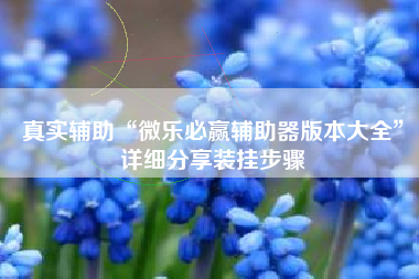 真实辅助“微乐必赢辅助器版本大全”详细分享装挂步骤