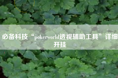 必备科技“pokerworld透视辅助工具	”详细开挂