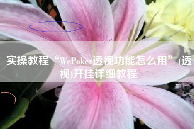 实操教程“WePoker透视功能怎么用”(透视)开挂详细教程