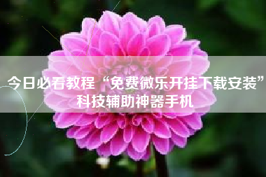 今日必看教程“免费微乐开挂下载安装”科技辅助神器手机