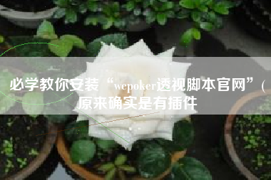 必学教你安装“wepoker透视脚本官网	”(原来确实是有插件
