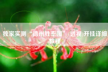 独家实测“德州胜率图”(透视)开挂详细教程