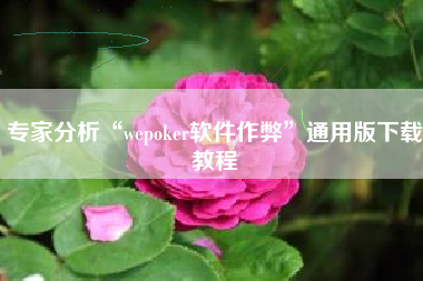 专家分析“wepoker软件作弊”通用版下载教程