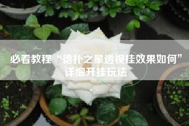 必看教程“德扑之星透视挂效果如何”详细开挂玩法