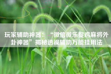 玩家辅助神器：“微信微乐捉鸡麻将外卦神器”揭秘透视辅助万能挂用法