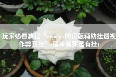 玩家必看教程“wepoker网页版辅助挂透视作弊开挂”(原来确实是有挂)