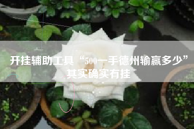 开挂辅助工具“500一手德州输赢多少”其实确实有挂