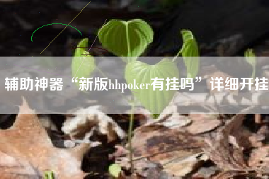 辅助神器“新版hhpoker有挂吗	”详细开挂