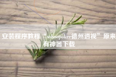 安装程序教程“sohoopoker德州透视	”原来有神器下载