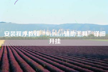 安装程序教程“WePoker辅助工具”详细开挂