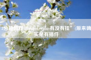 3分钟教程“wepokerplus有没有挂”(原来确实是有插件