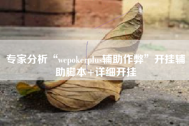 专家分析“wepokerplus辅助作弊	”开挂辅助脚本+详细开挂