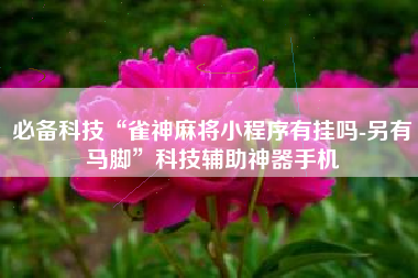 必备科技“雀神麻将小程序有挂吗-另有马脚”科技辅助神器手机