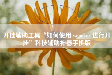 开挂辅助工具“如何使用 wepoker 进行开挂	”科技辅助神器手机版