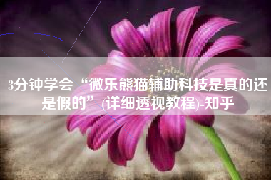 3分钟学会“微乐熊猫辅助科技是真的还是假的”(详细透视教程)-知乎