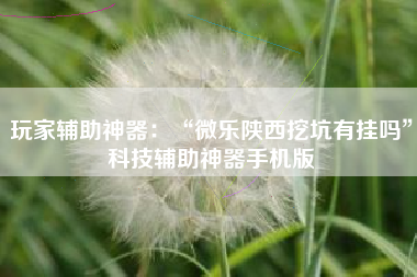 玩家辅助神器：“微乐陕西挖坑有挂吗	”科技辅助神器手机版