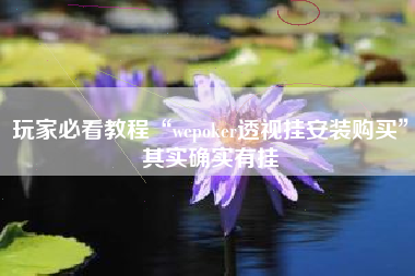 玩家必看教程“wepoker透视挂安装购买”其实确实有挂