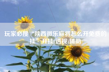 玩家必搜“陕西微乐麻将怎么开免费的挂”开挂(透视)辅助