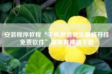 安装程序教程“手机微信微乐麻将开挂免费软件”原来有神器下载