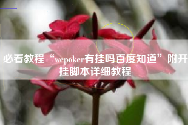 必看教程“wepoker有挂吗百度知道”附开挂脚本详细教程