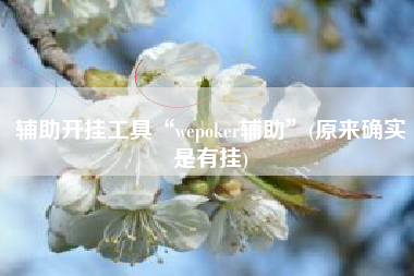 辅助开挂工具“wepoker辅助”(原来确实是有挂)