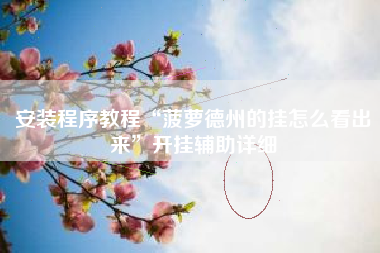 安装程序教程“菠萝德州的挂怎么看出来”开挂辅助详细