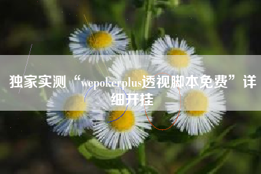 独家实测“wepokerplus透视脚本免费”详细开挂