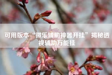 可用版本“微乐辅助神器开挂”揭秘透视辅助万能挂