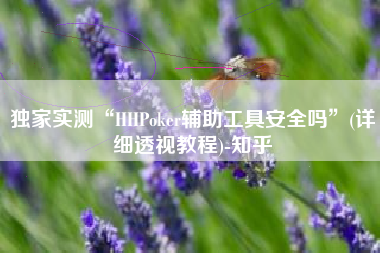 独家实测“HHPoker辅助工具安全吗”(详细透视教程)-知乎