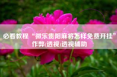 必看教程“微乐贵阳麻将怎样免费开挂”作弊(透视)透视辅助