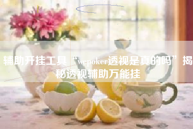 辅助开挂工具“wepoker透视是真的吗	”揭秘透视辅助万能挂
