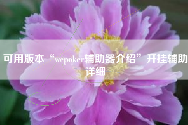 可用版本“wepoker辅助器介绍	”开挂辅助详细