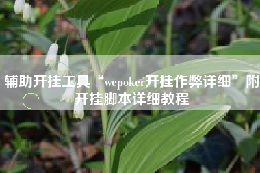 辅助开挂工具“wepoker开挂作弊详细”附开挂脚本详细教程