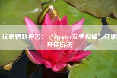 玩家辅助神器：“wepoker发牌规律”详细开挂玩法