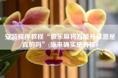 安装程序教程“微乐麻将万能开挂器是真的吗	”(原来确实是有挂)