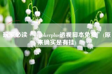 玩家必读“wepokerplus透视脚本免费”(原来确实是有挂)