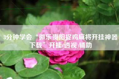 3分钟学会“微乐贵阳捉鸡麻将开挂神器下载”开挂(透视)辅助