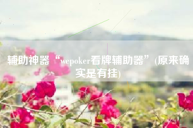辅助神器“wepoker看牌辅助器”(原来确实是有挂)