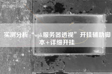 实测分析“wpk服务器透视”开挂辅助脚本+详细开挂