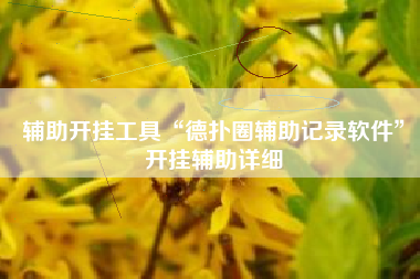 辅助开挂工具“德扑圈辅助记录软件”开挂辅助详细