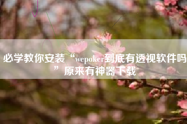必学教你安装“wepoker到底有透视软件吗”原来有神器下载