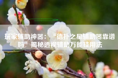 玩家辅助神器：“德扑之星辅助器靠谱吗”揭秘透视辅助万能挂用法